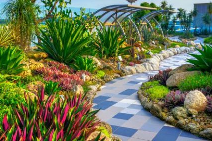 Changi Airport Terminal 1: Outdoor Rooftop Cactus Garden - LEPL